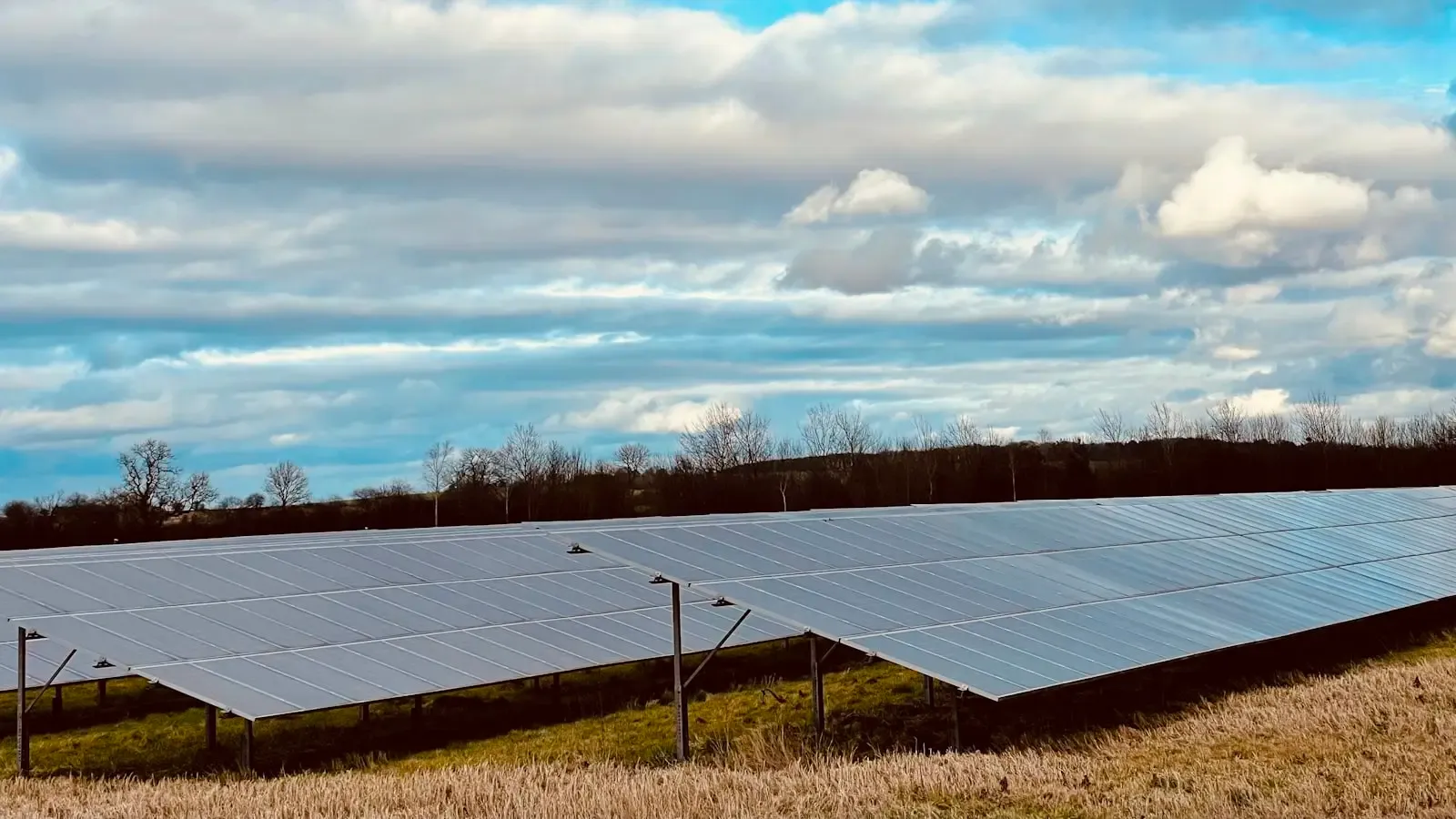 Why is venture capital aggressively pivoting toward climate tech investments now