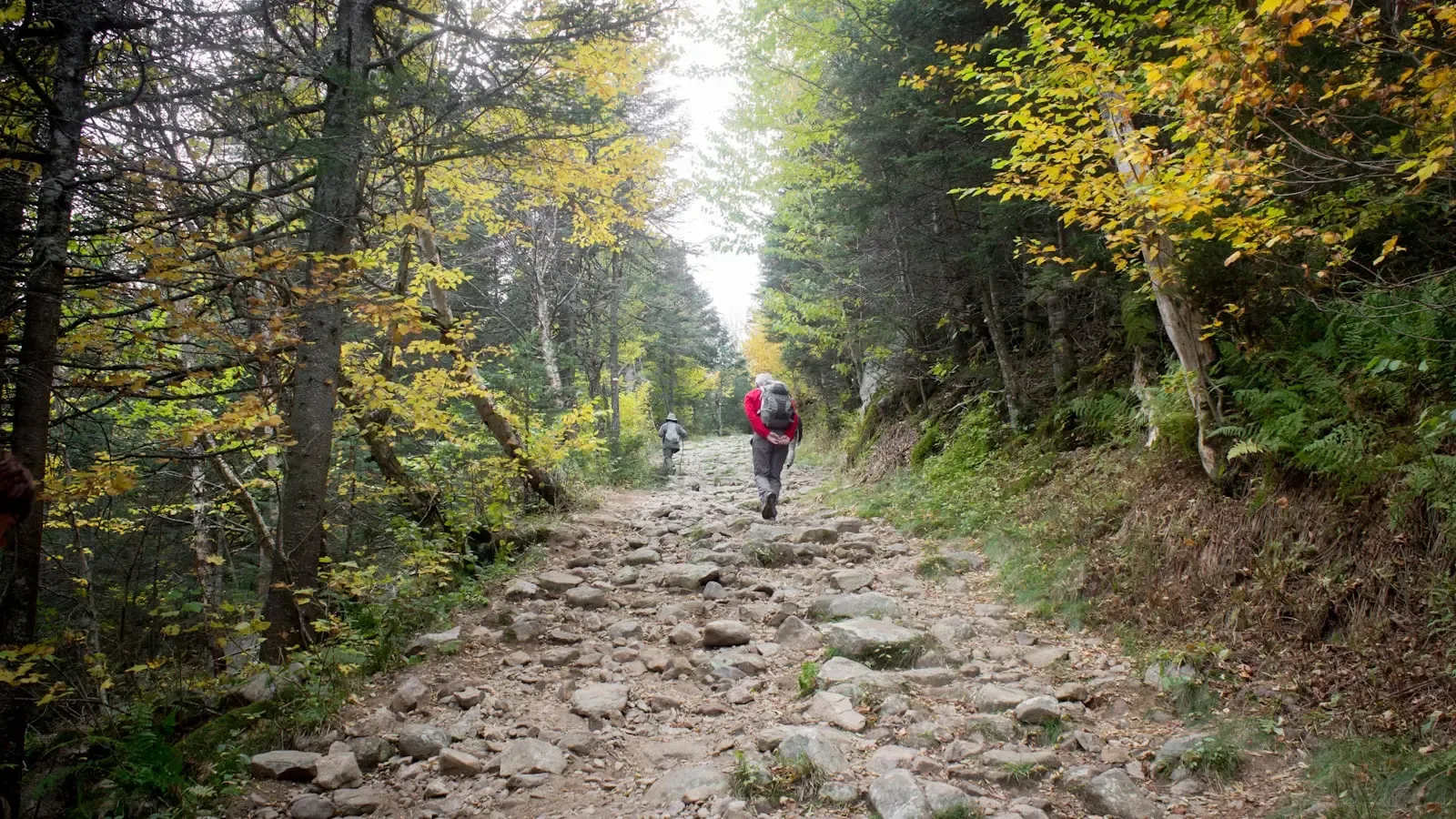 How Can Road Runners Transition to Mountain Trails Without Suffering Injuries