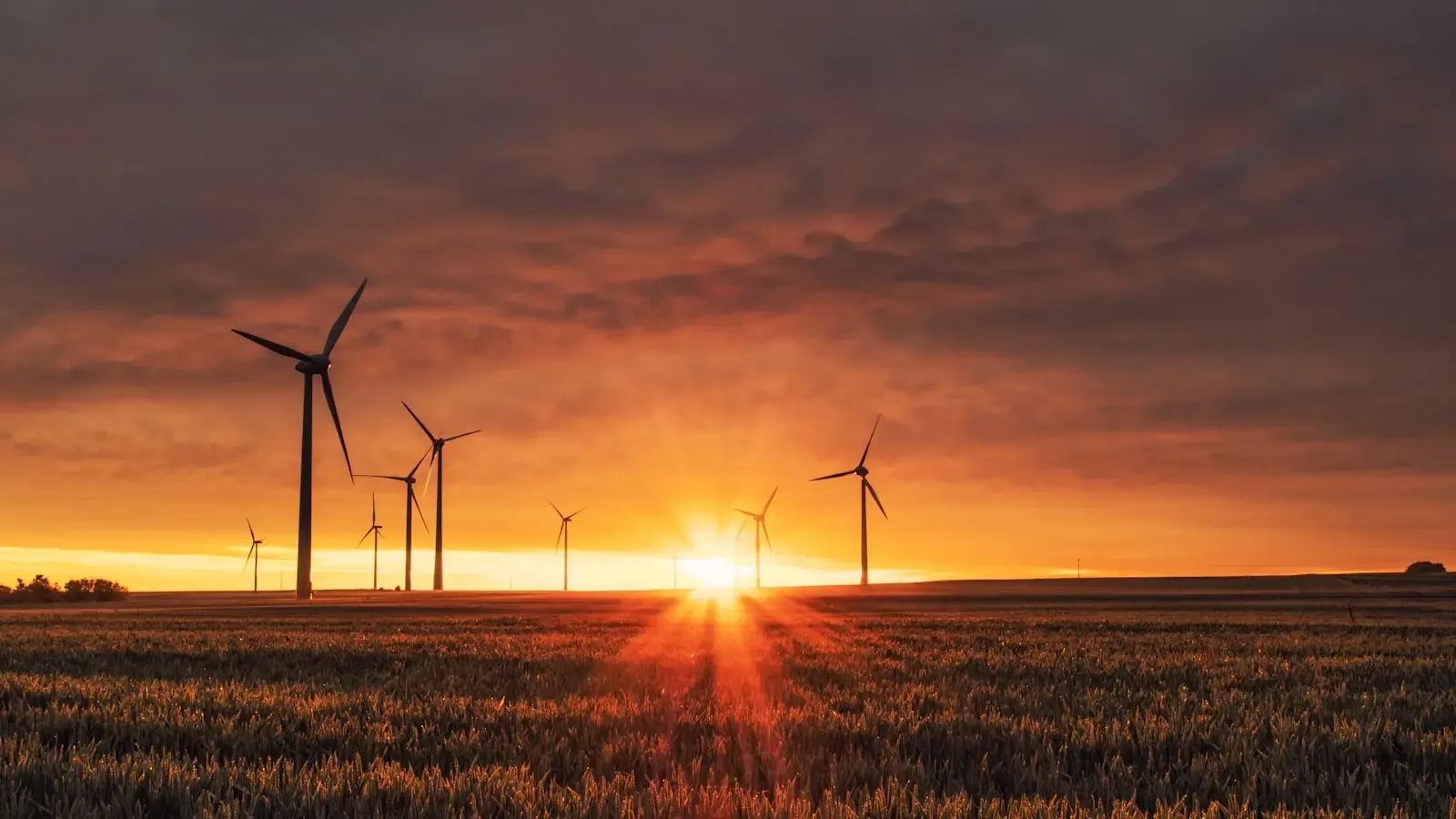 Jefferies Argues The Clean Tech Selloff Is A Mistake