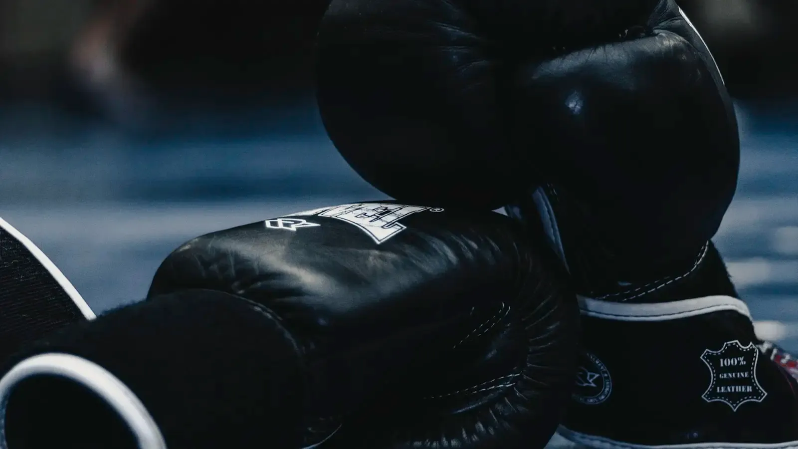 The Geometry of Greatness How Crawford Unraveled Canelo