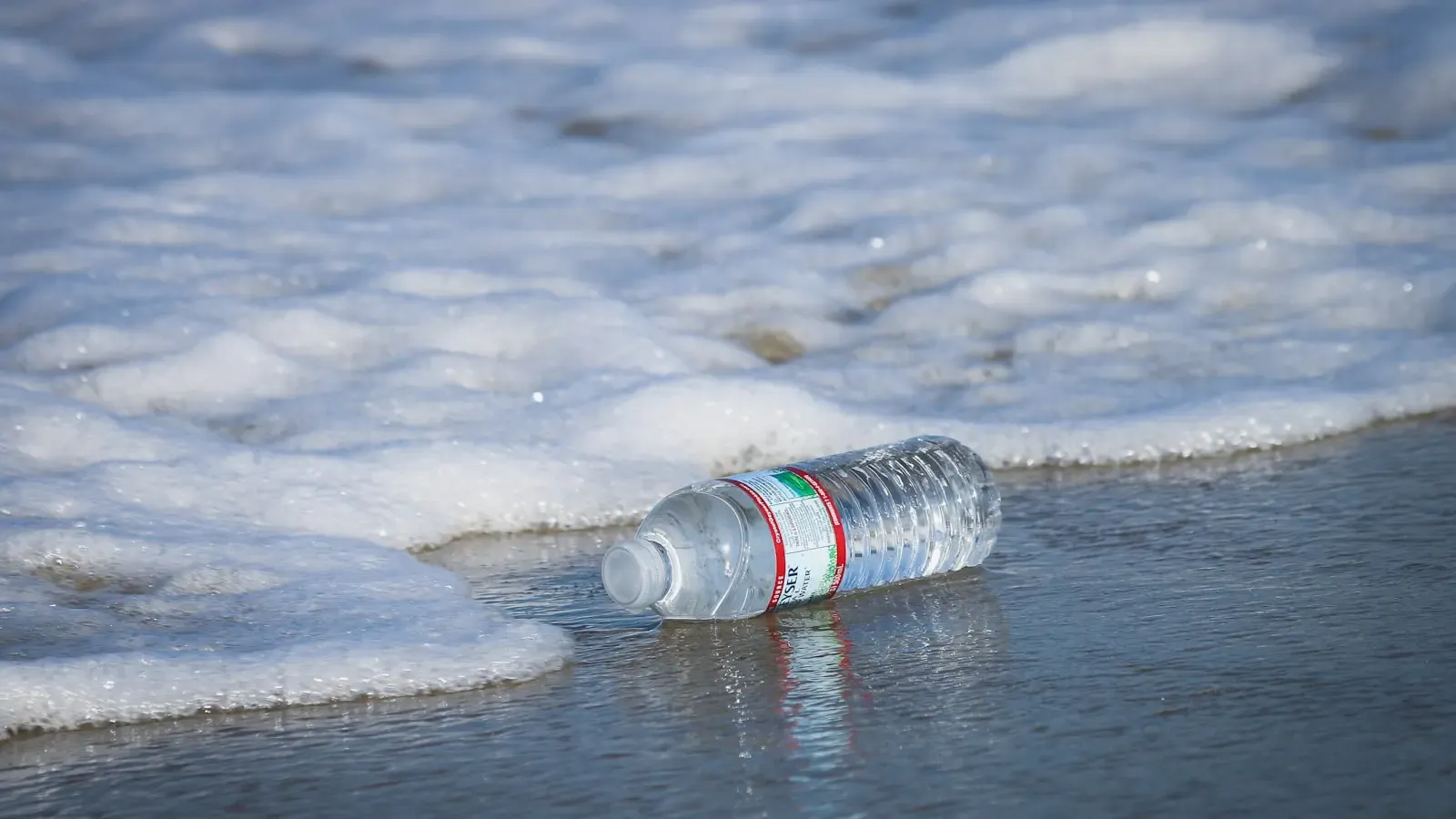 Can Synthetic Biology Actually Remove Microplastics From The Ocean