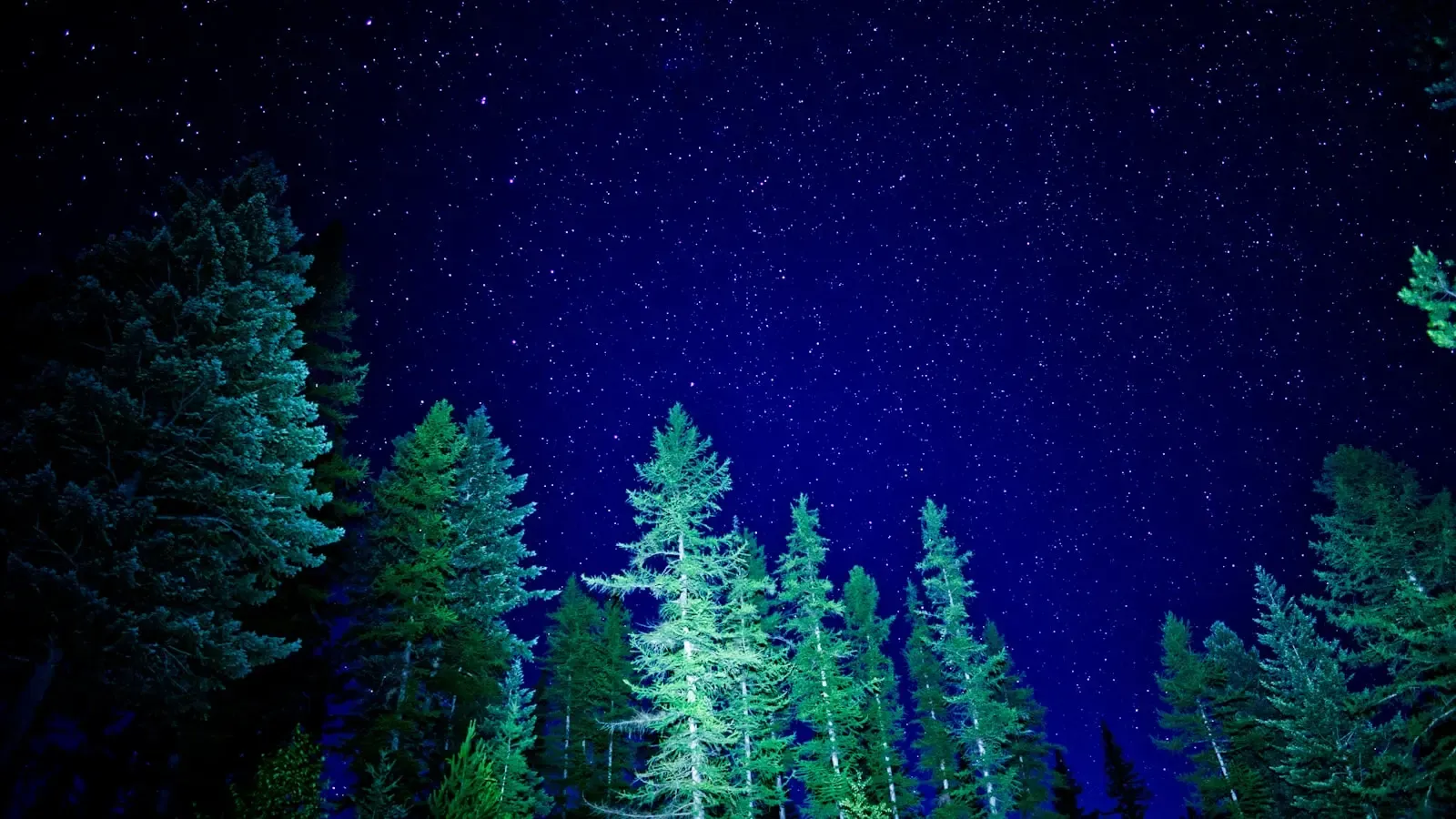 The Night Sky Is No Longer Static As Automated Eyes Open In Chile