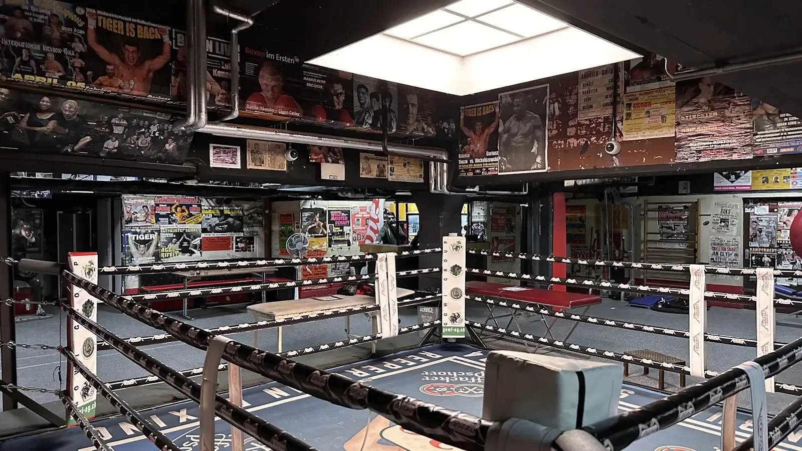 The Ledger Logic Behind Zuffa Boxing and the Fifteen Million Dollar Question