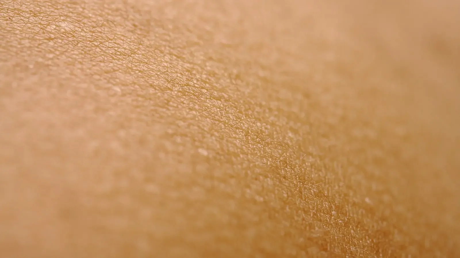 Science Says Collagen Improves Elasticity But Cannot Erase Wrinkles