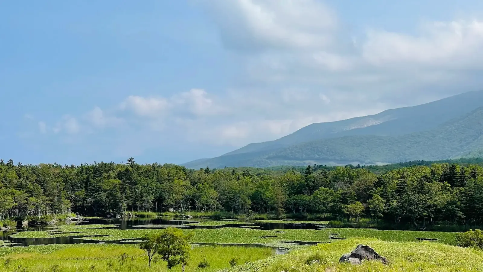 How Should You Structure a Ten Day Summer Trip to Hokkaido Without Wasting Time