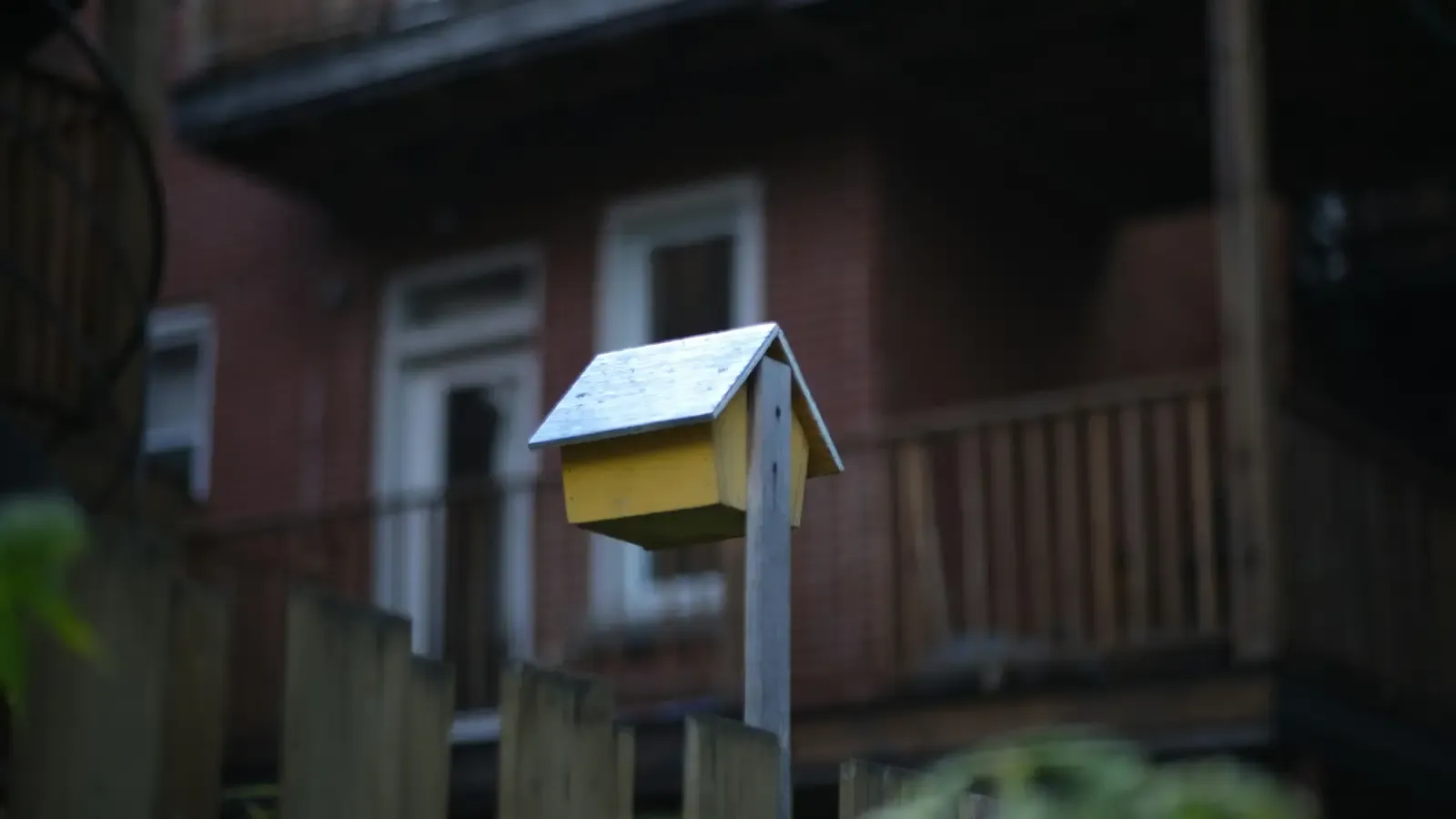 Super Bowl Ad Masks Surveillance Truth