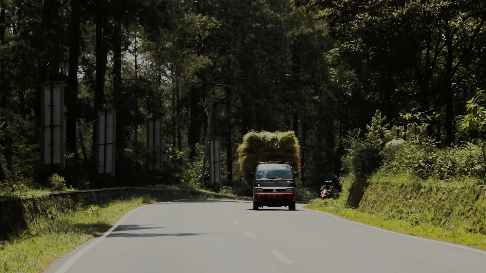 How can you travel internationally while minimizing your environmental footprint
