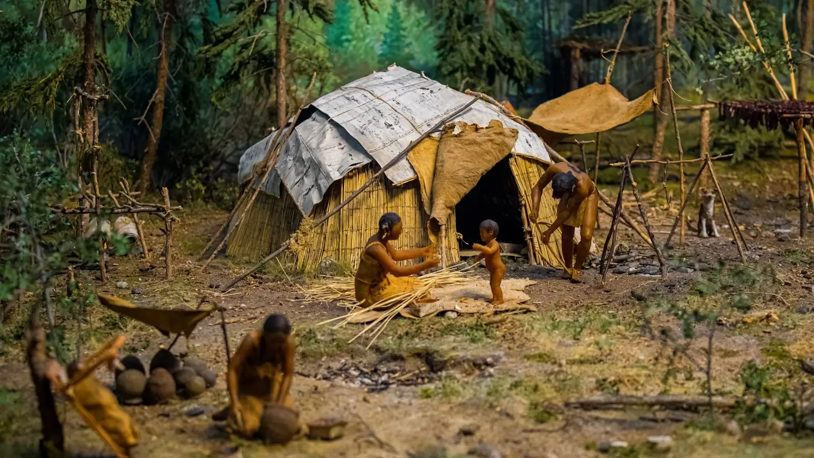 Genetic Echoes Reveal A Lopsided Human Past