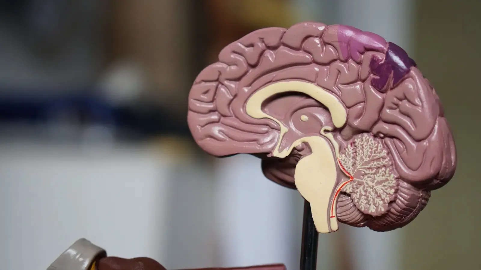 A New Drug Achieves Near-Surgical Weight Loss Without the Knife