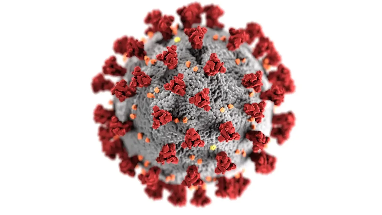 What Is the Scientific Basis for the 2026 H5N1 Bird Flu Alert