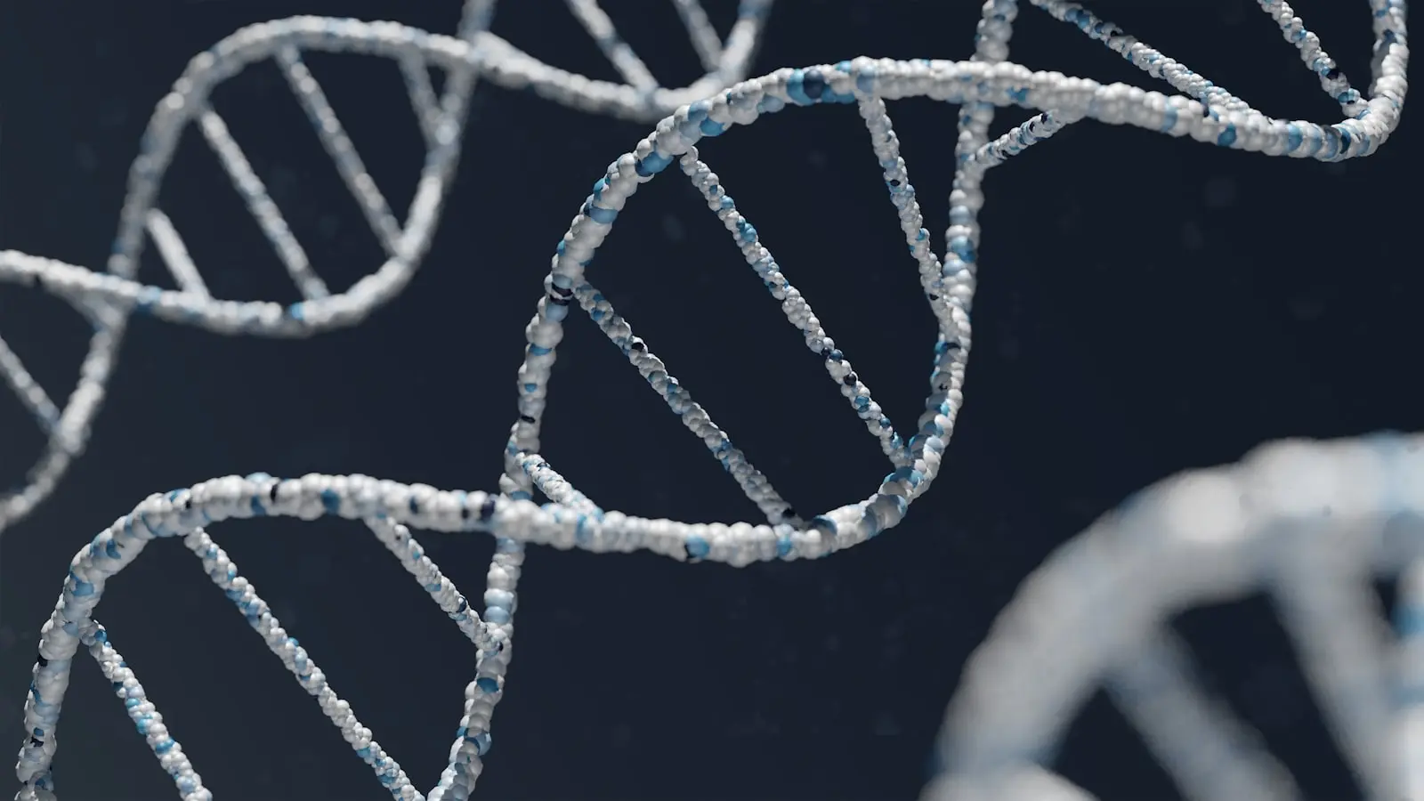 Ancient DNA Betrays the Secrets of Prehistoric Attraction