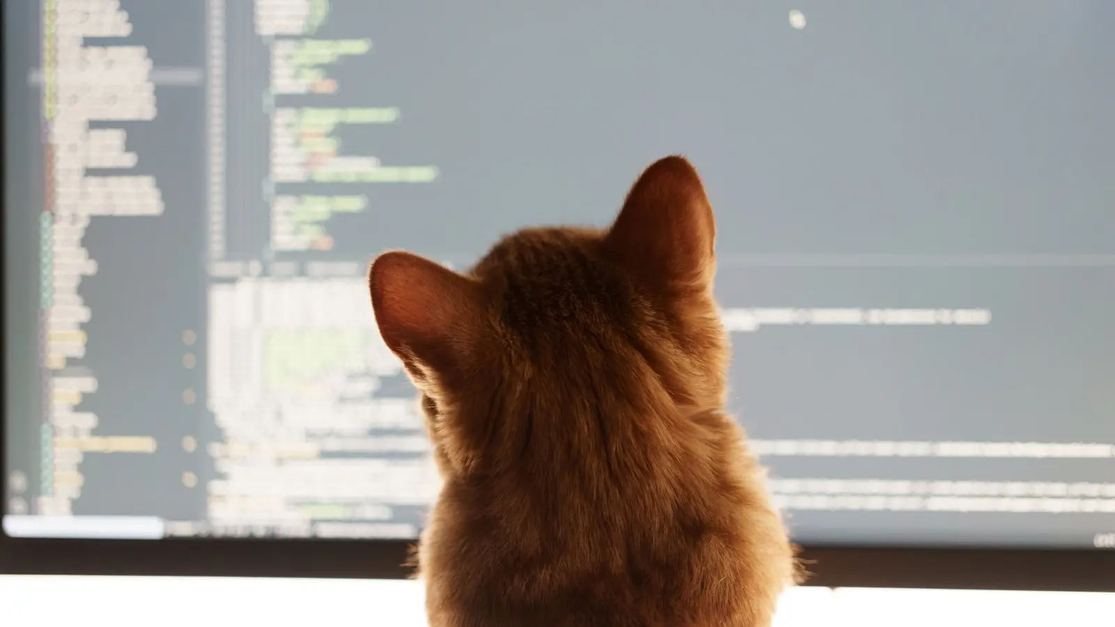 Anthropic Cuts The Tether With Native Mobile Remote Control For Claude Code