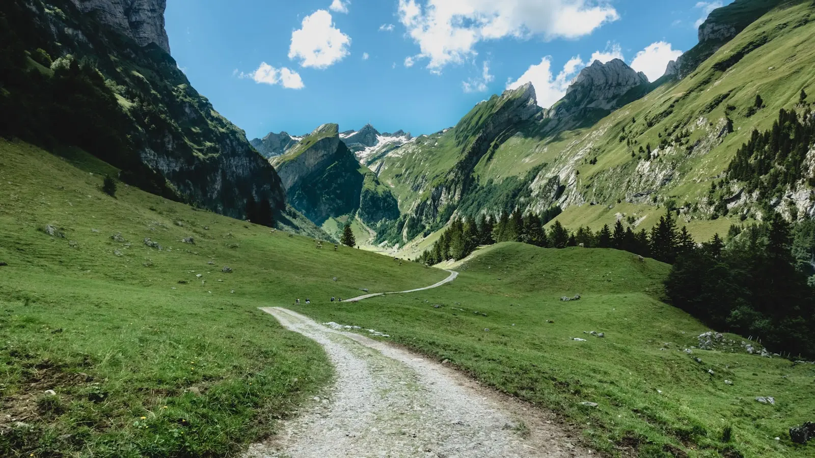 What Beginner Hiking Trails in the Swiss Alps Have Minimal Elevation Gain?