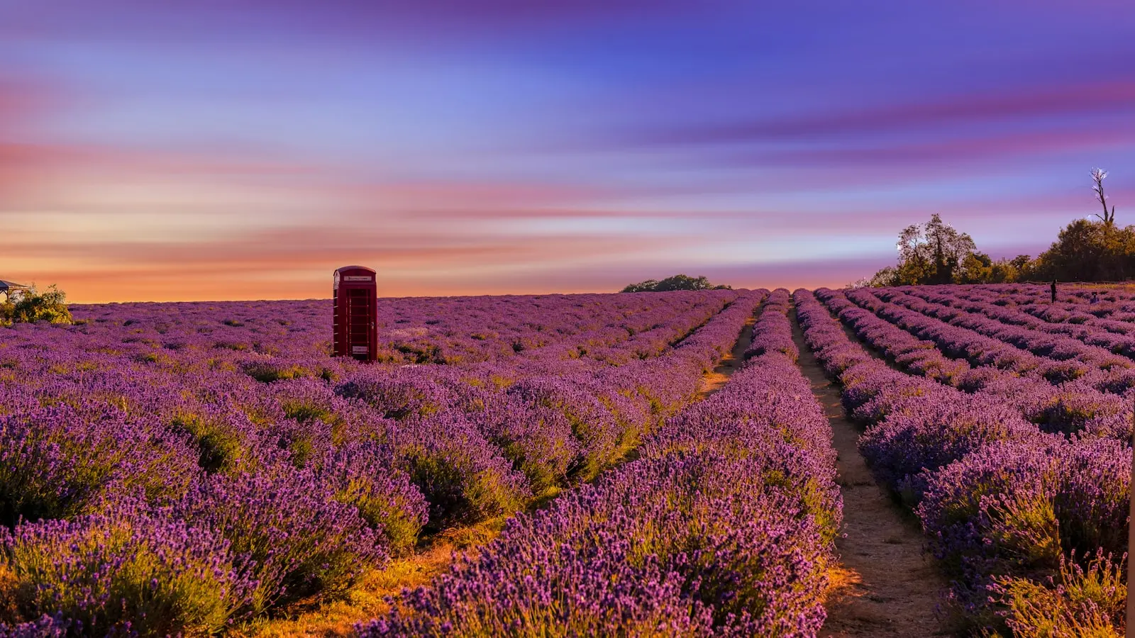 Where to find the best lavender photo spots in Provence for 2025?