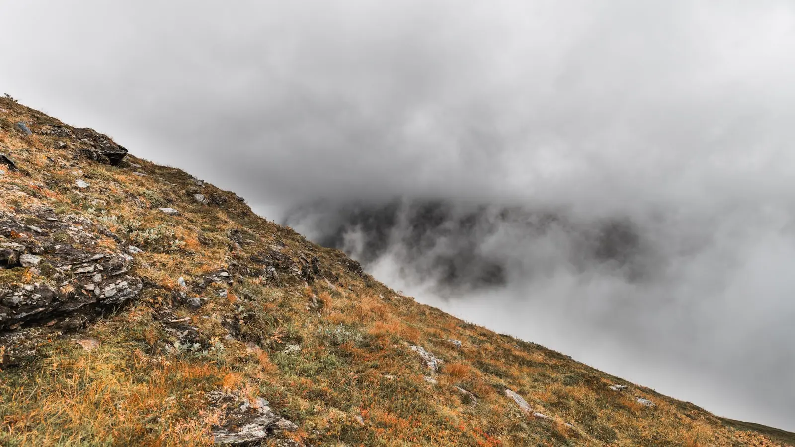 What Is the Best Training for High-Altitude Hiking Trips?