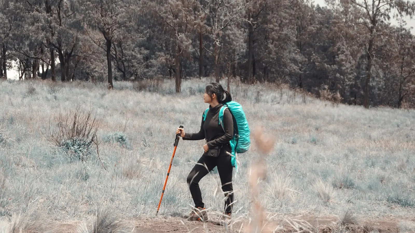 What Is the Best Training Plan for the Annapurna Circuit Trek