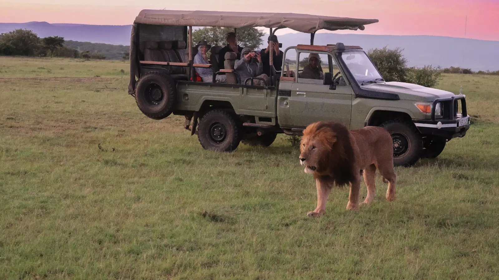 Can You Really See the Big Five in a Five-Day Kenya Safari?