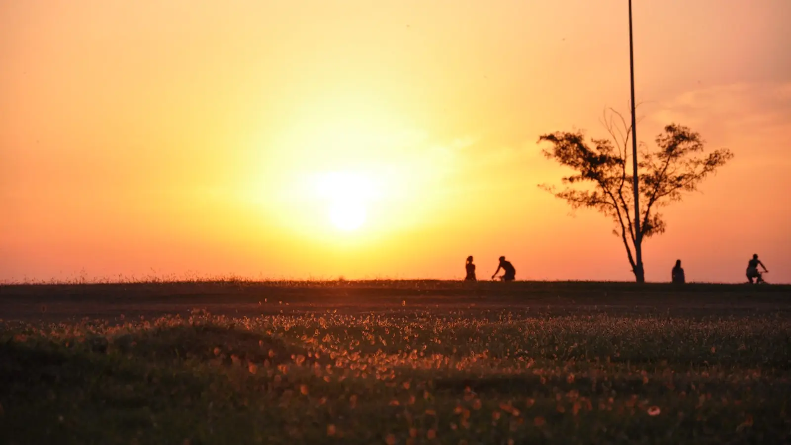 How Much Cardio Is Enough to Improve Sleep and Mood?