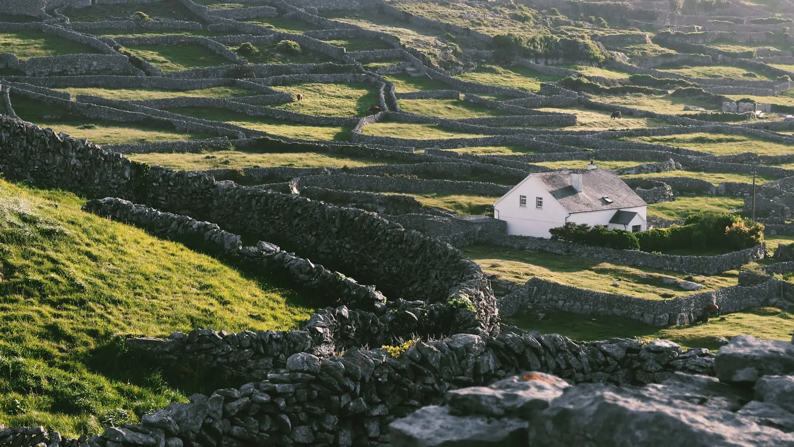 What Should Travelers Know About Digestive Health in Remote Ireland?