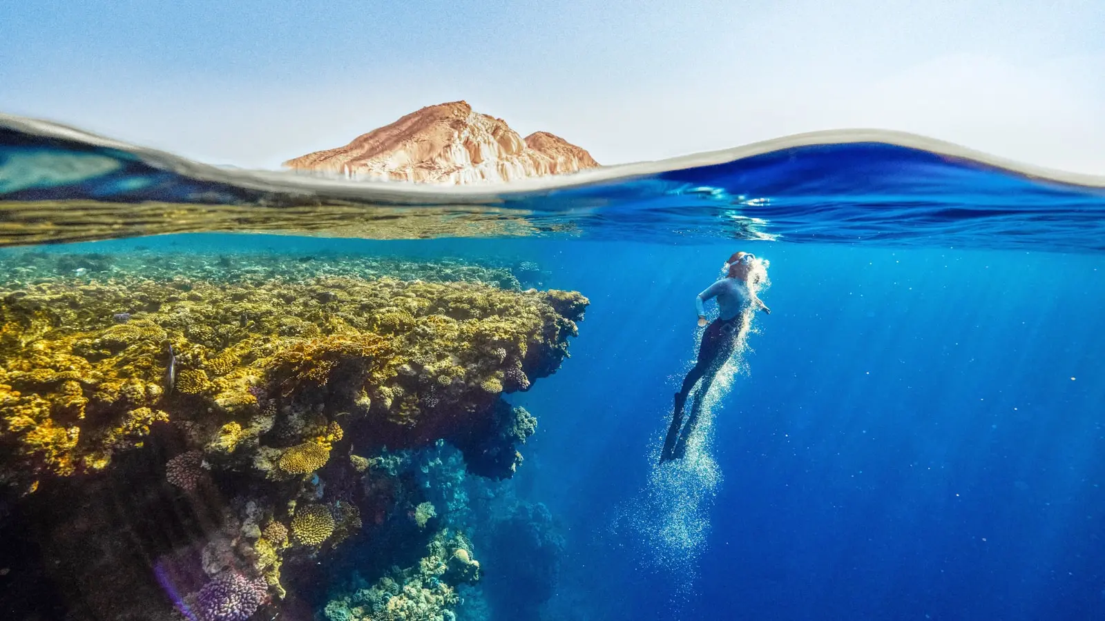 How Do Elite Divers Prepare for a 72-Foot Cliff Jump?