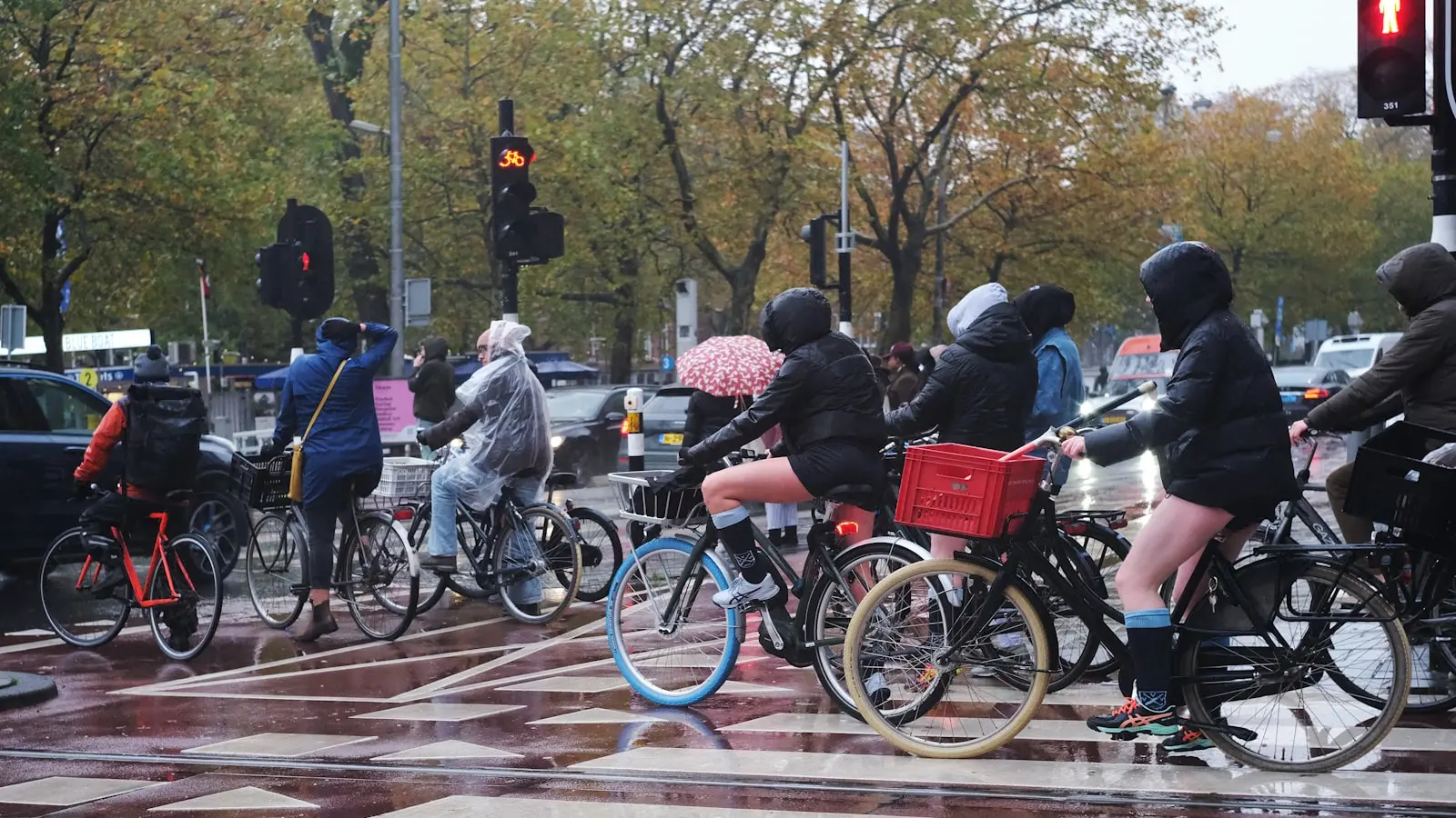How Can You Plan a European Trip for Someone Who Cannot Walk Far?