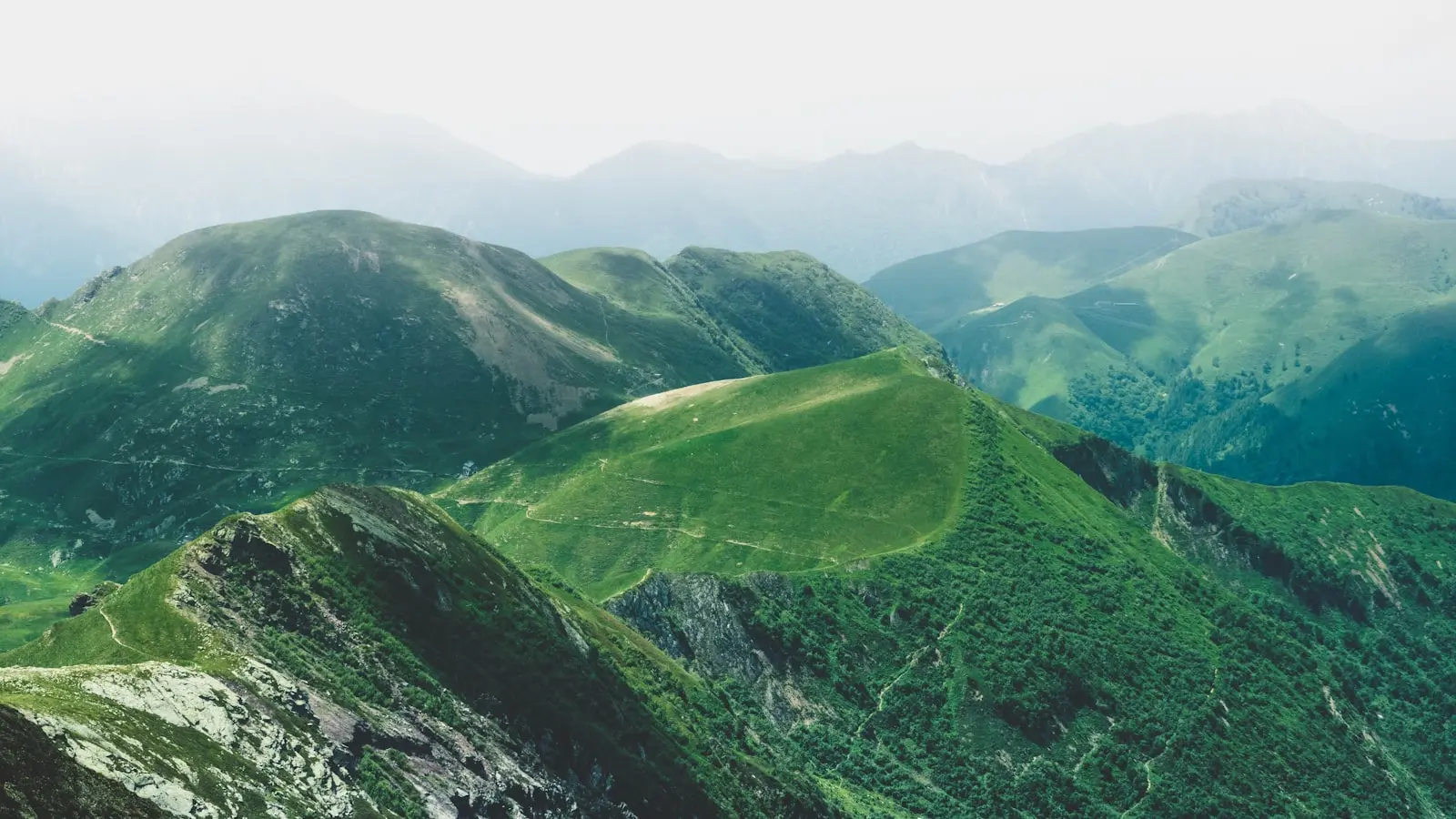 Can hiking in green spaces improve mental health?