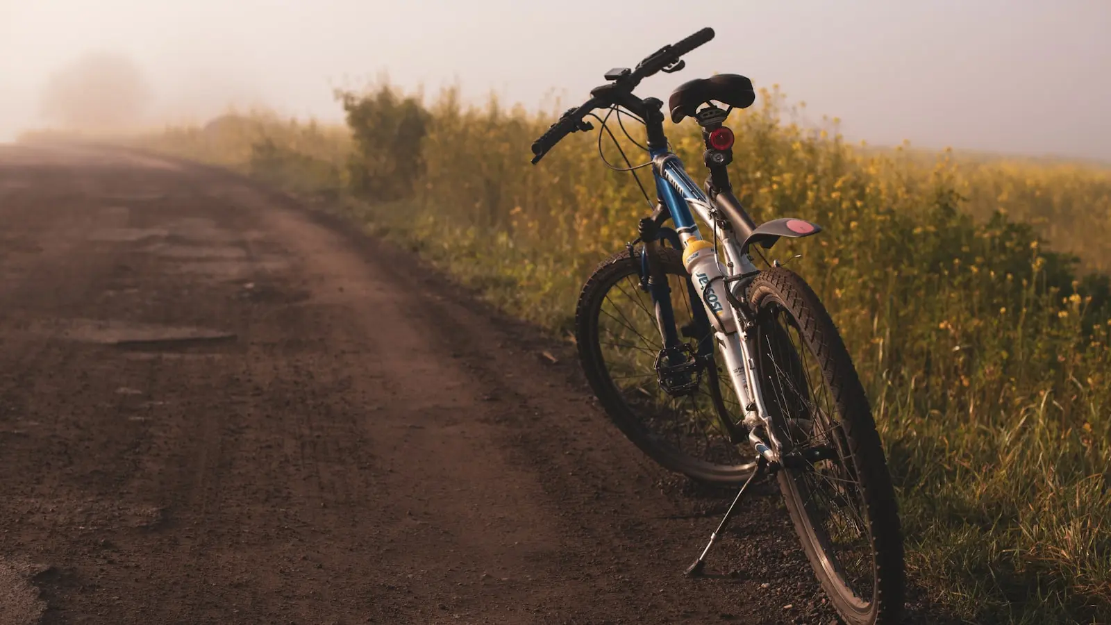 How Can Cyclists Transport Bikes on Trains, Ferries from Amsterdam to Belfast?