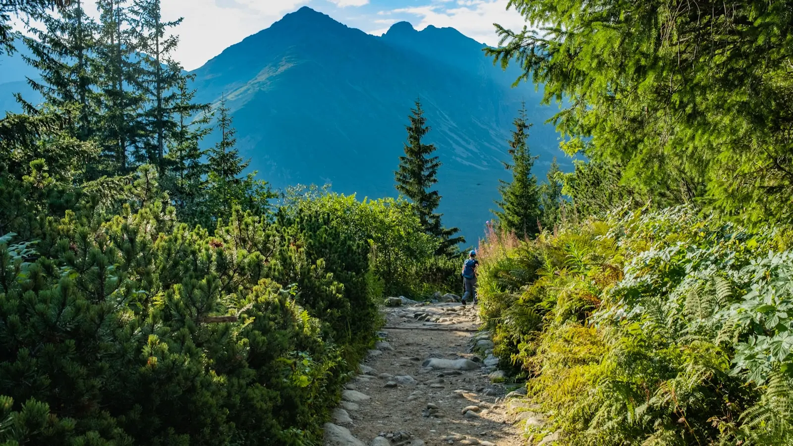 How to prevent altitude sickness on mountain trails?