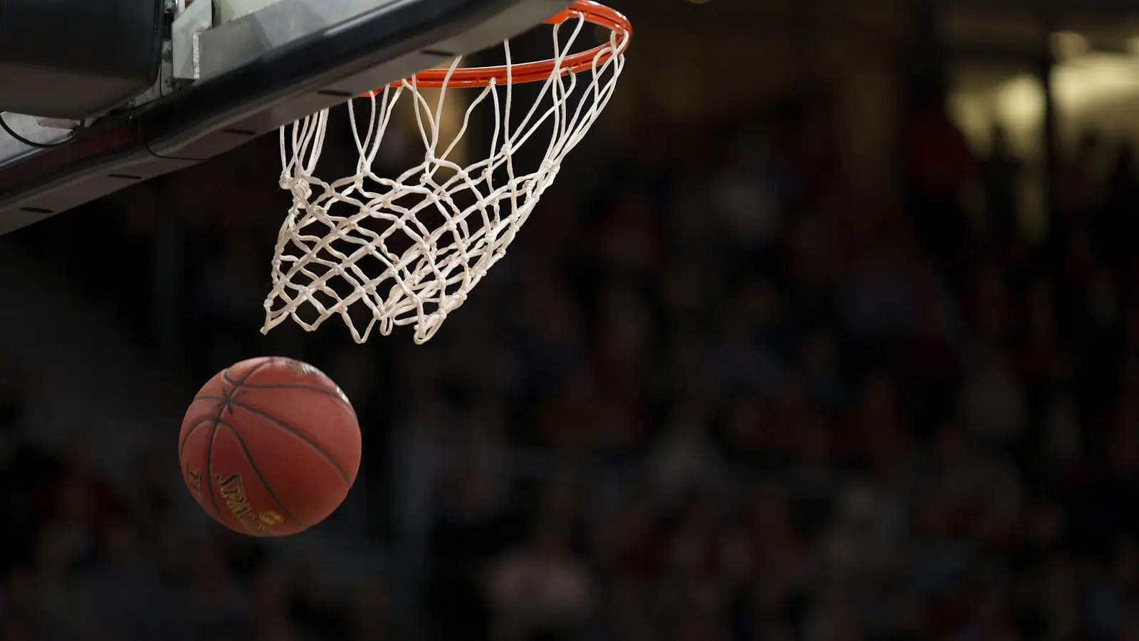 The NBA's New Axis of Power Is Not a Fluke