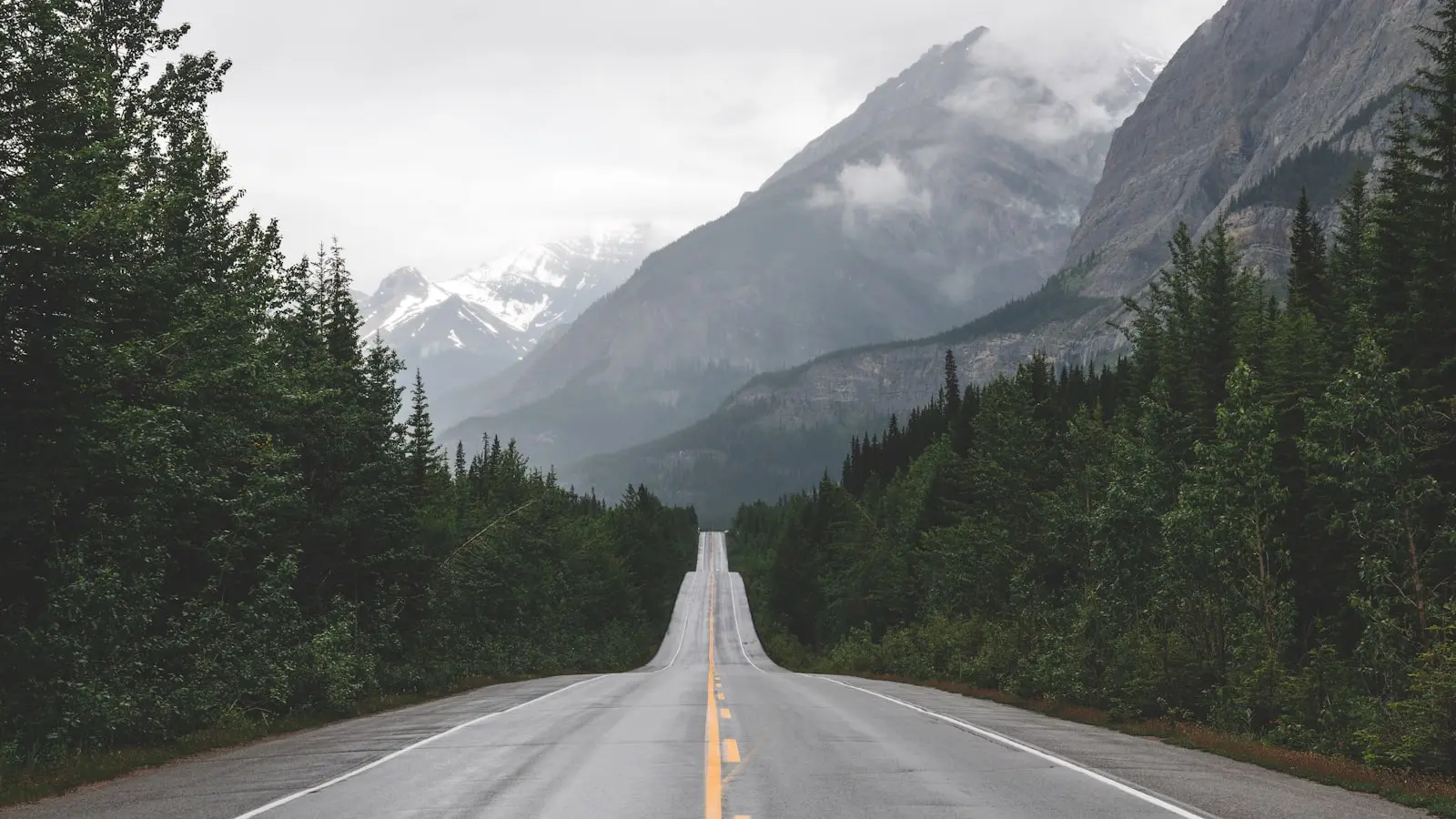 Is New Zealand or Australia Better for a First Nature Trip?