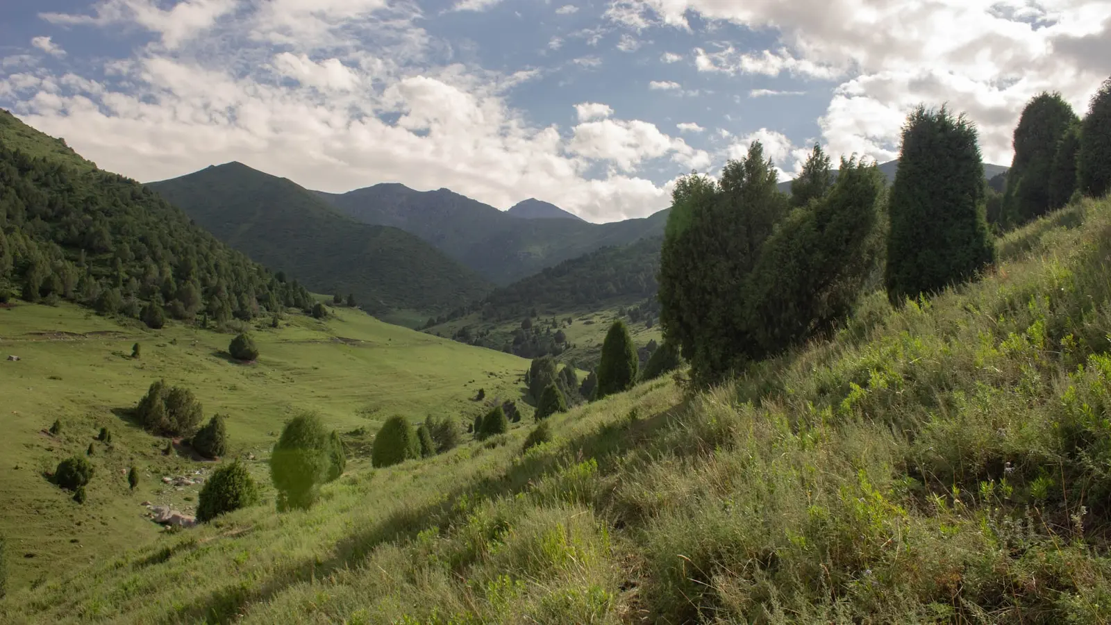 How Should Solo Travelers Plan Kazakhstan and Kyrgyzstan?