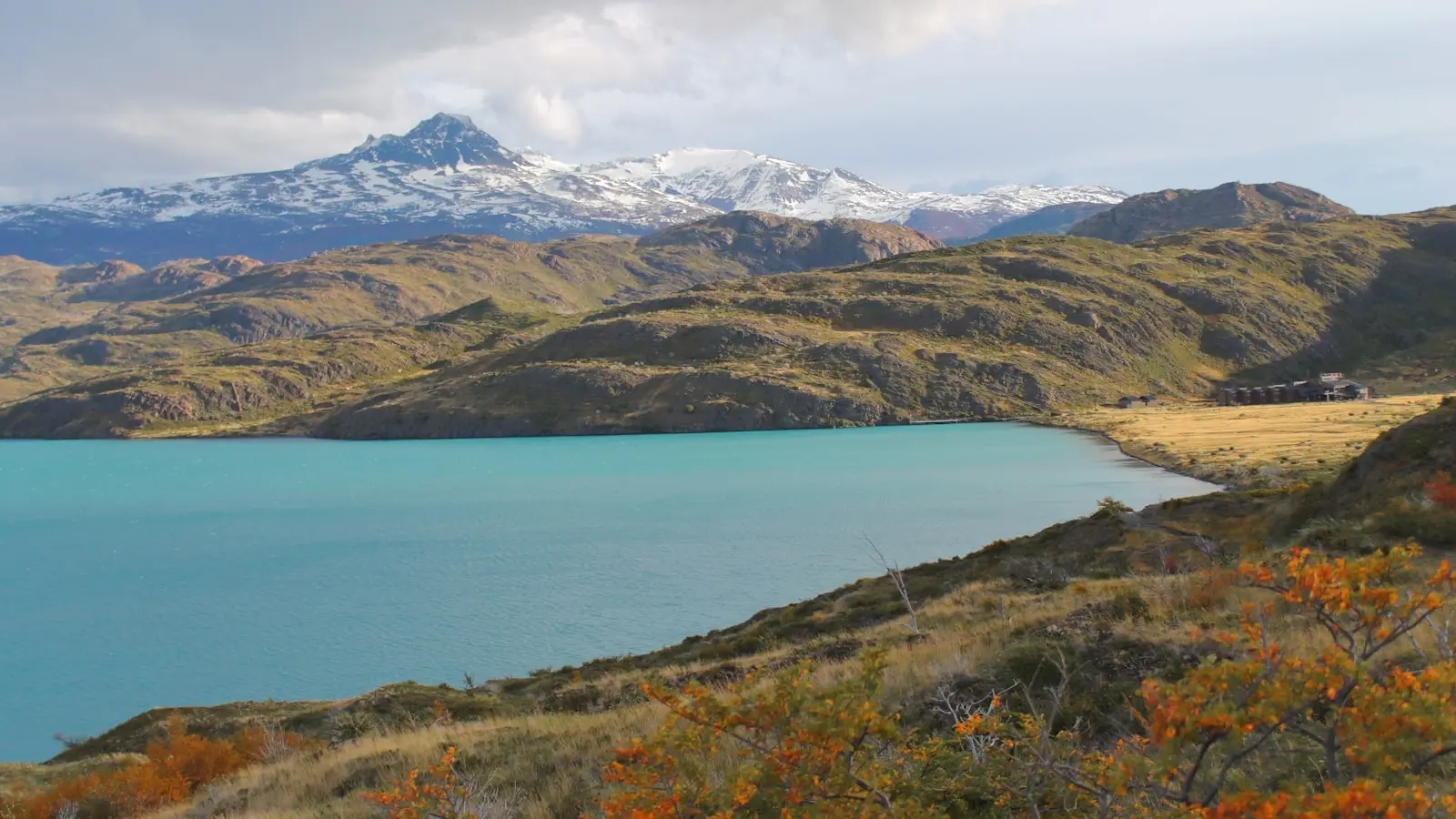 How Should You Plan Patagonia From El Chaltén to Penguins?