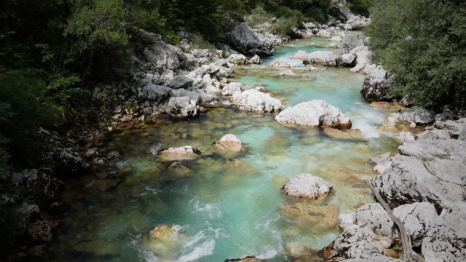 How Can You Plan a Sustainable Spring Road Trip Through Slovenia