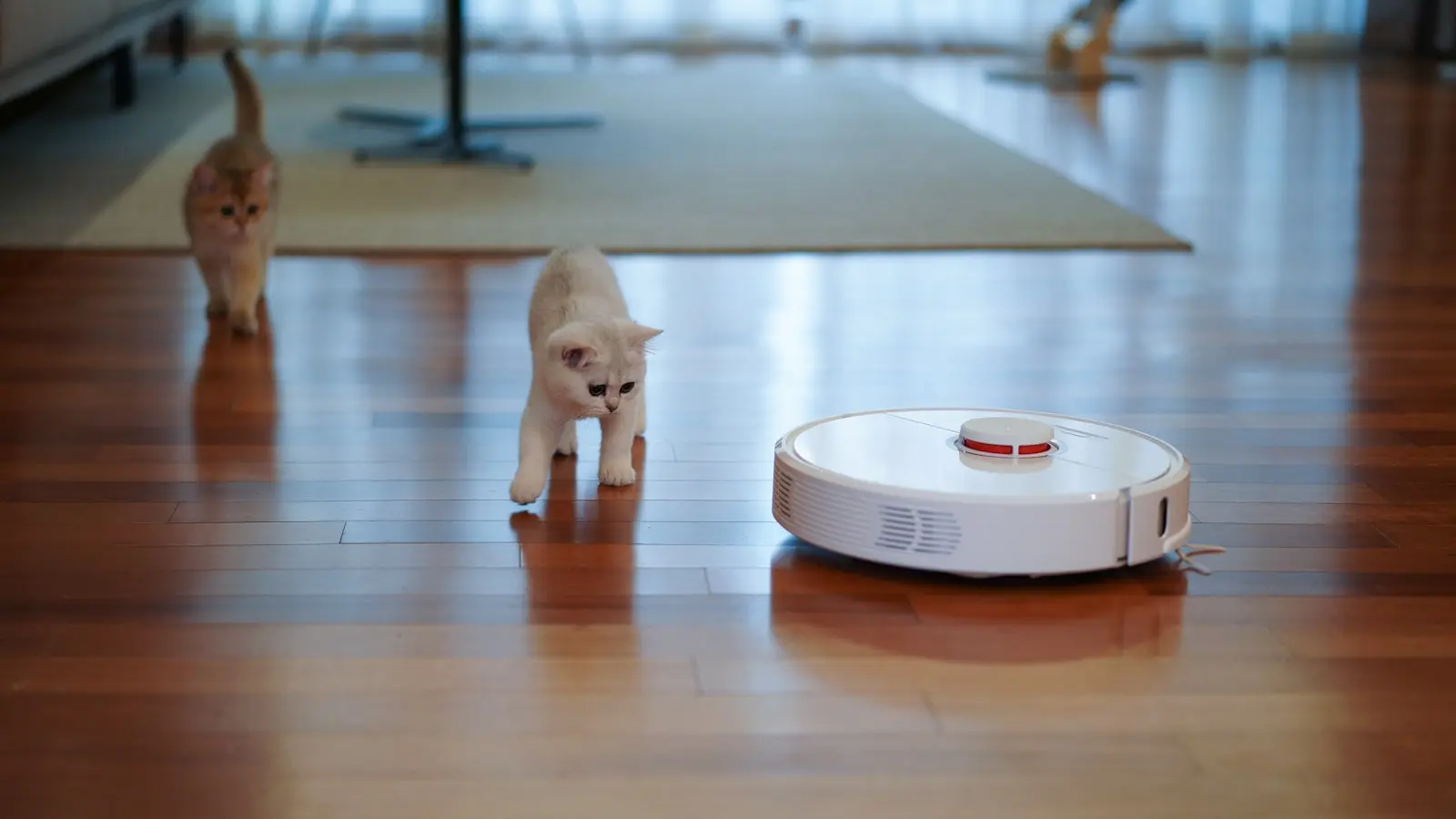 Why Does My Robot Vacuum Keep Missing the Same Room?