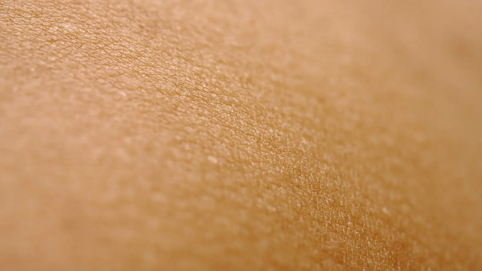 Science Says Collagen Improves Elasticity But Cannot Erase Wrinkles