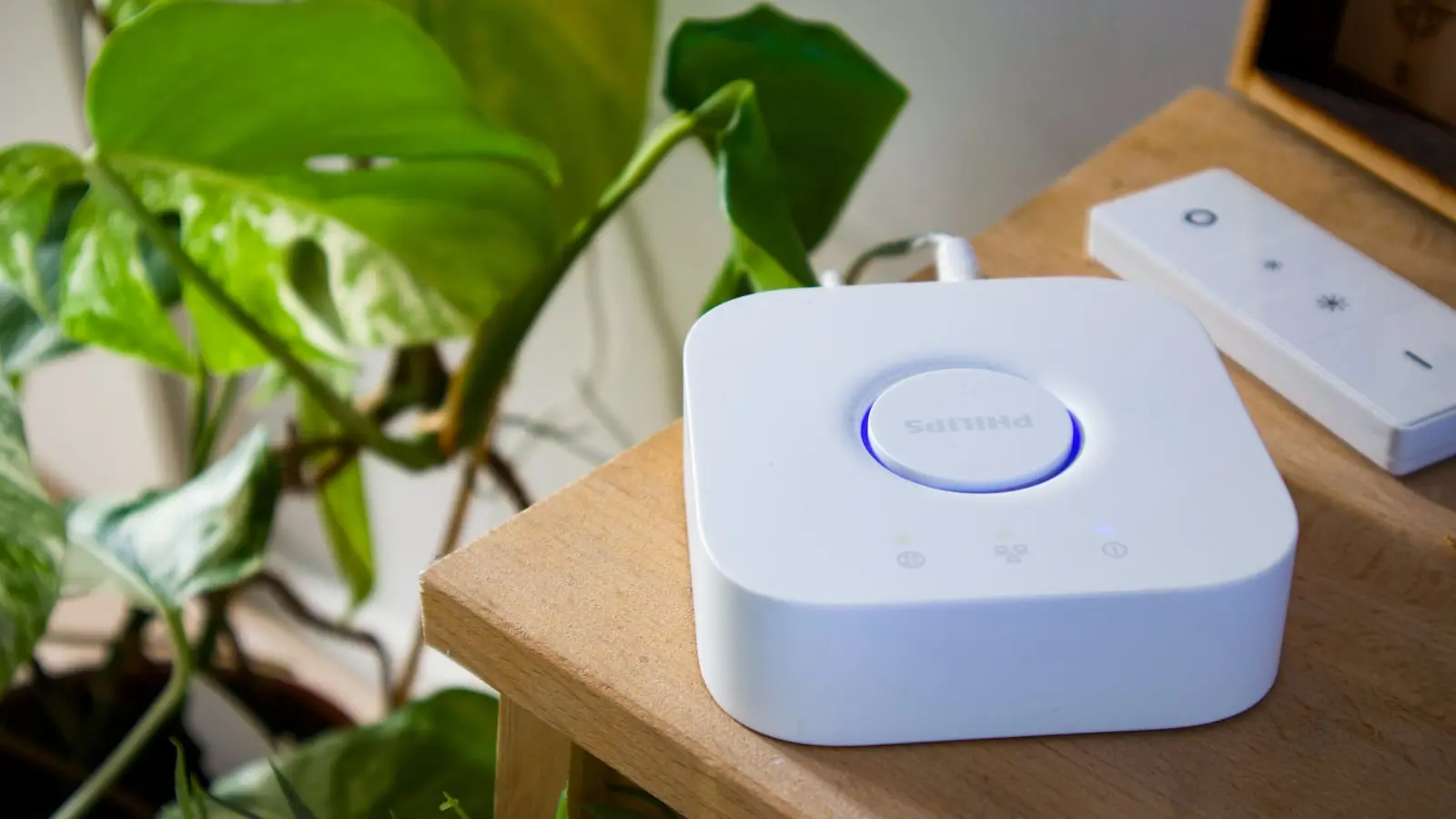 Which Smart Home Devices Work Without Cloud Access?
