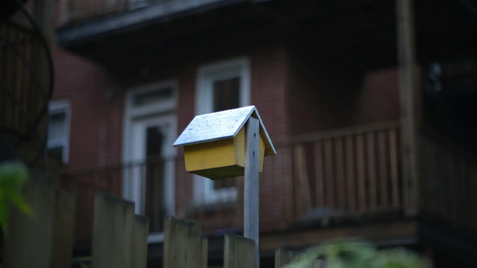 Super Bowl Ad Masks Surveillance Truth