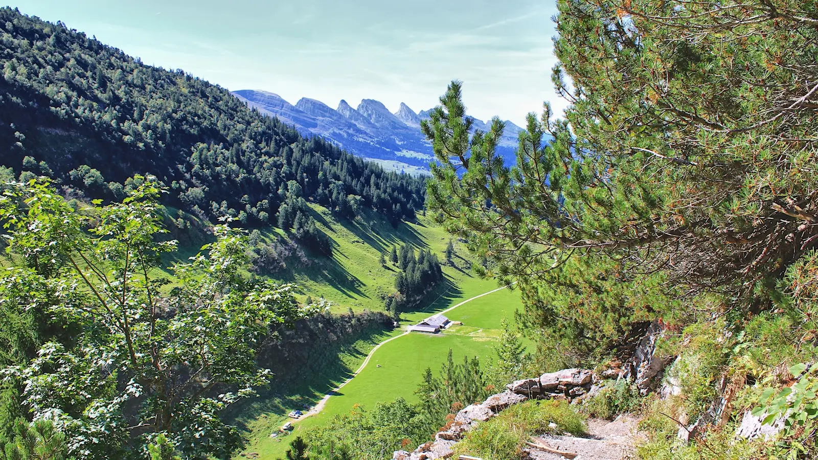 Which Swiss Alpine Pass Should You Drive and When to Take the Car Train?