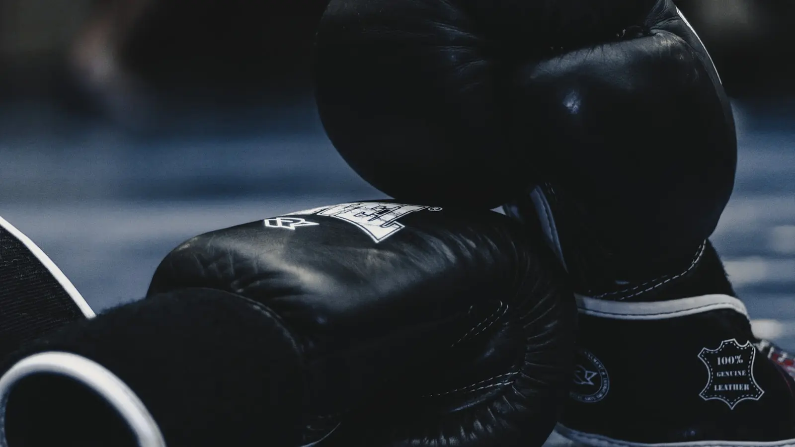 The Geometry of Greatness How Crawford Unraveled Canelo