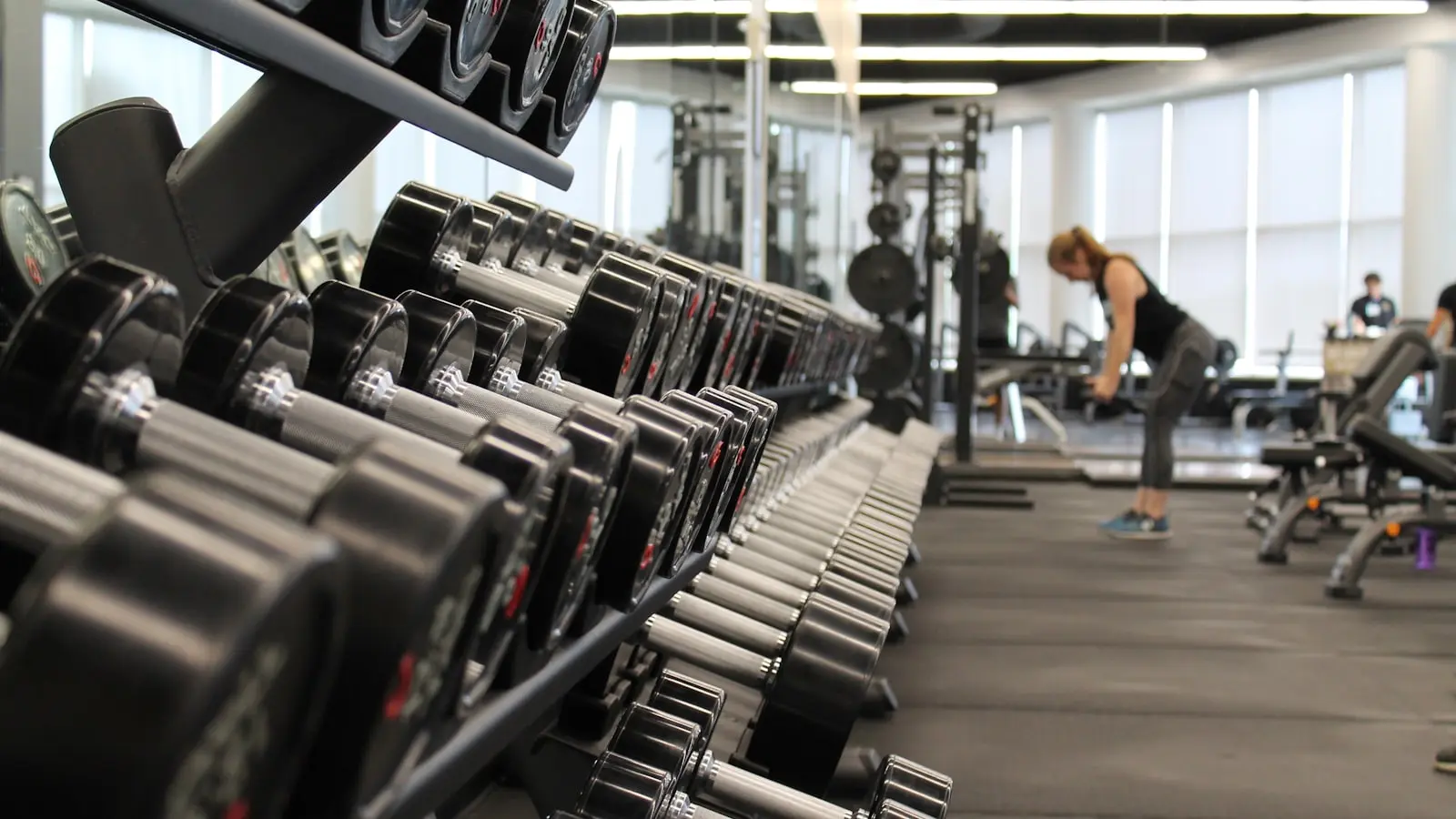 The Architecture of Iron in Los Angeles Gym Culture