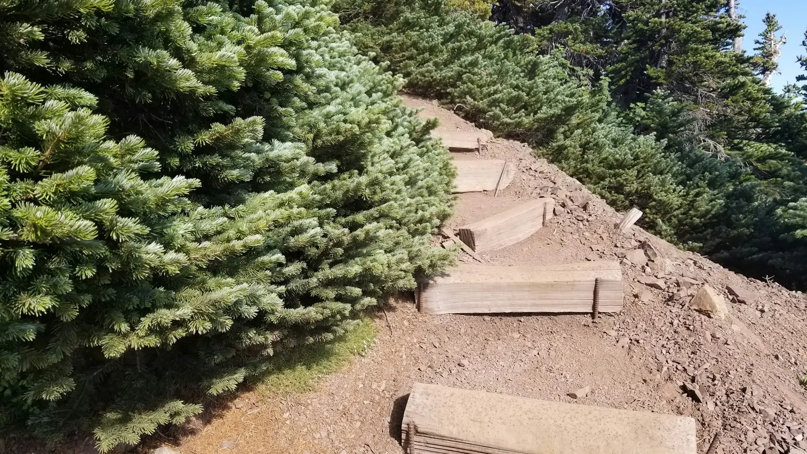 What Training Plan Works for Hilly Sightseeing Trips?