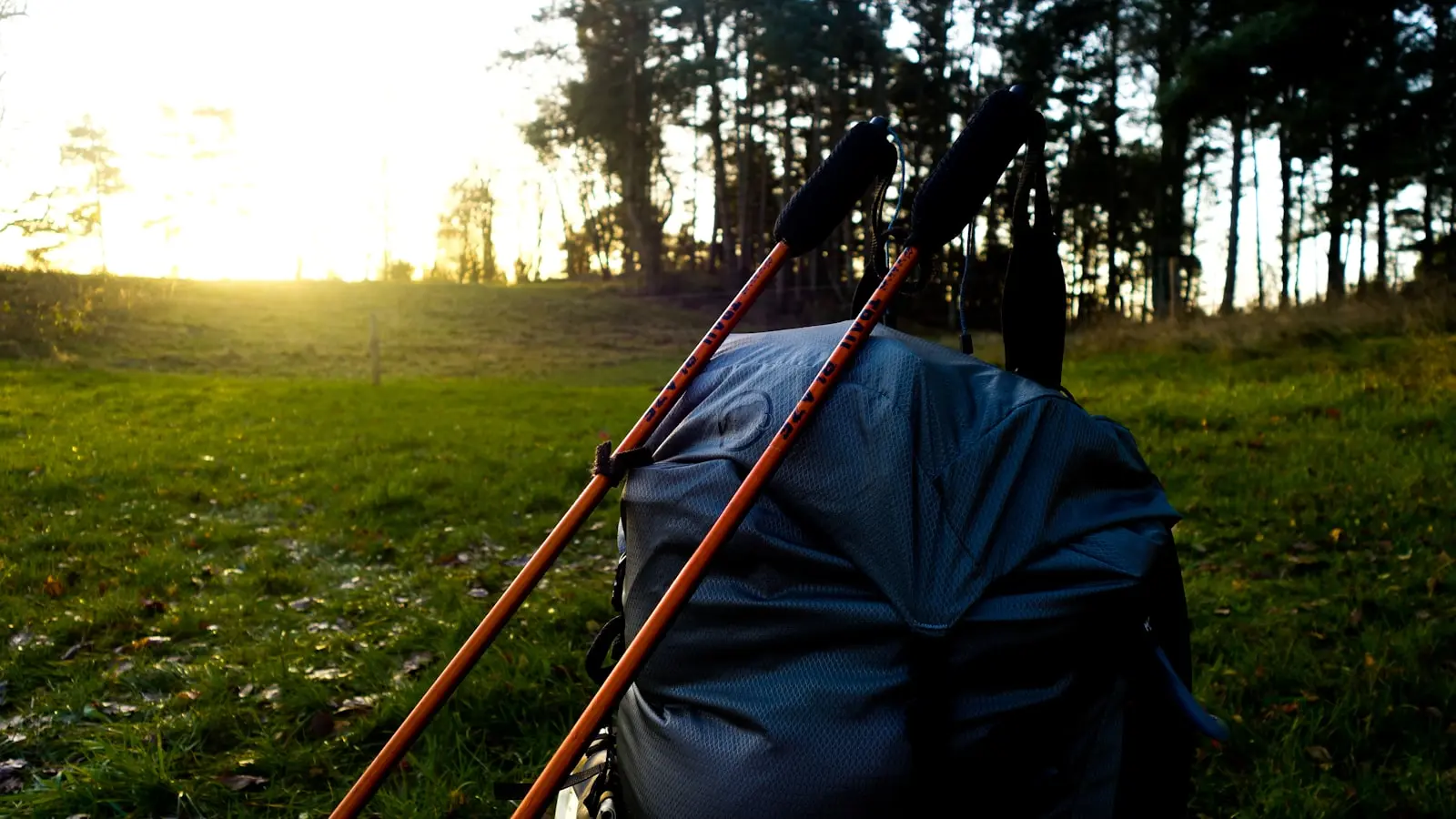 How Do Trekking Poles Help on Steep Descents Without Causing Pain?