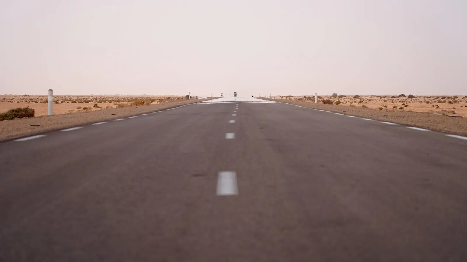 Is a Tunisia Road Trip Better With a Driver or Rental Car?