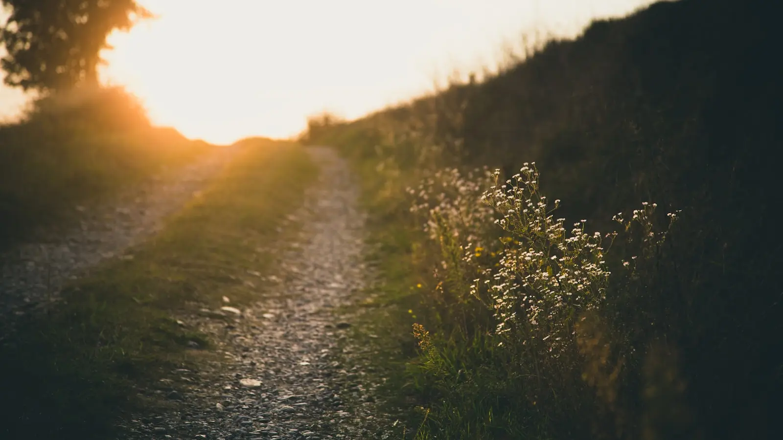 Does Walking After Meals Help Control Blood Sugar?