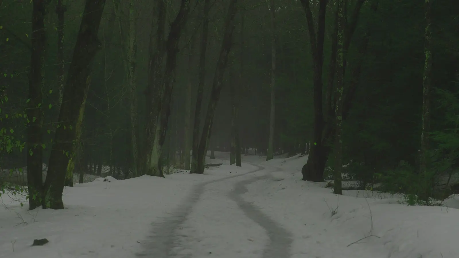 How Should You Watch The Village If You Dislike Twist Endings?