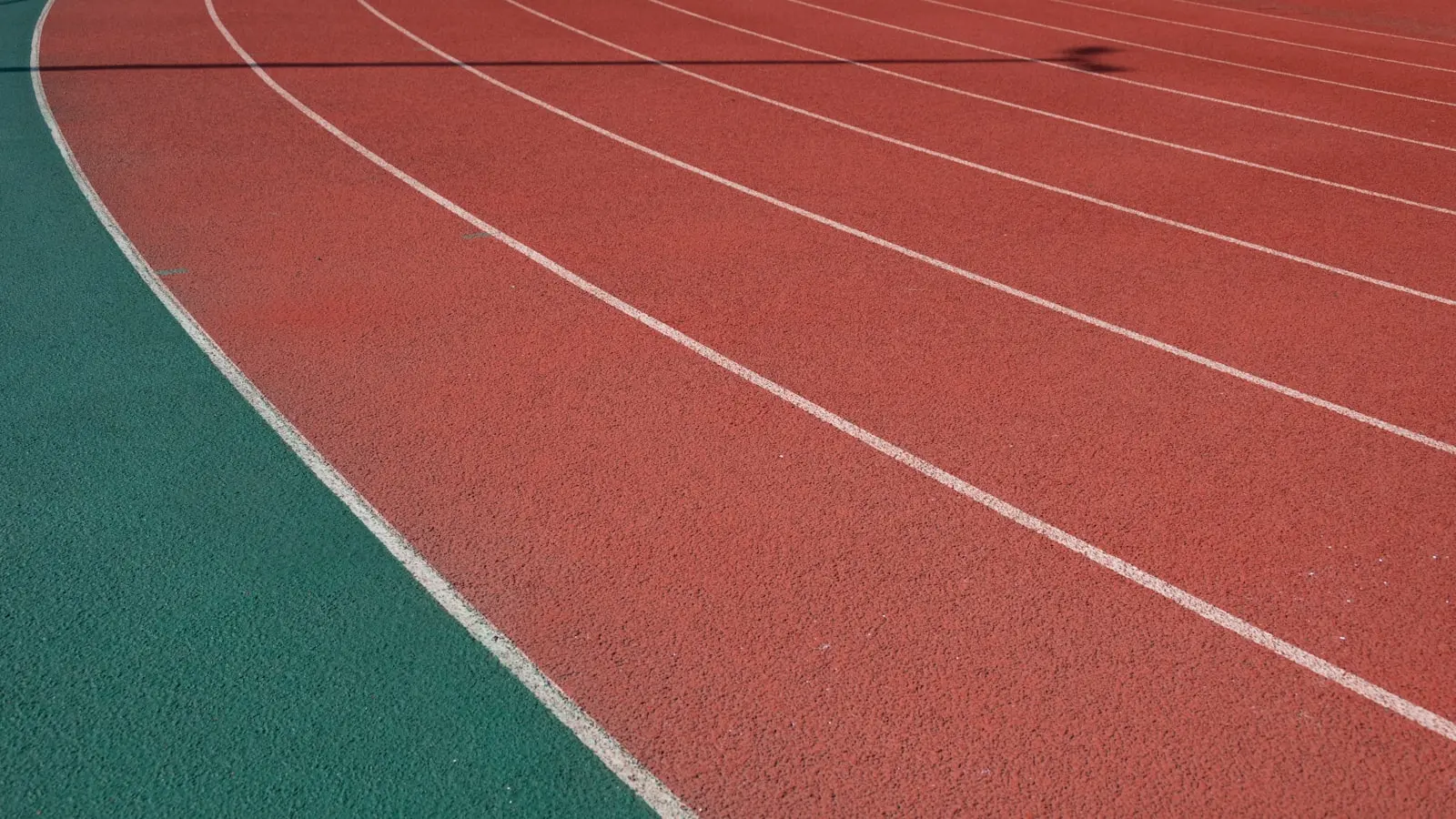 Why Do Elite Athletes Spend Most Of Their Time Training In Zone 2