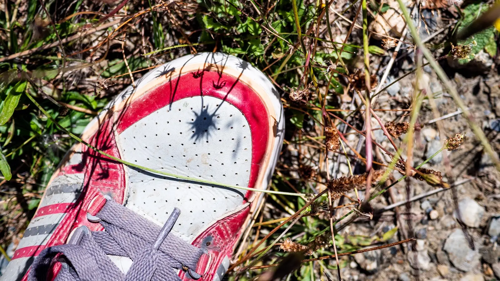 Why Are Your Running Shoes Degrading Long Before The Expected Mileage Marker