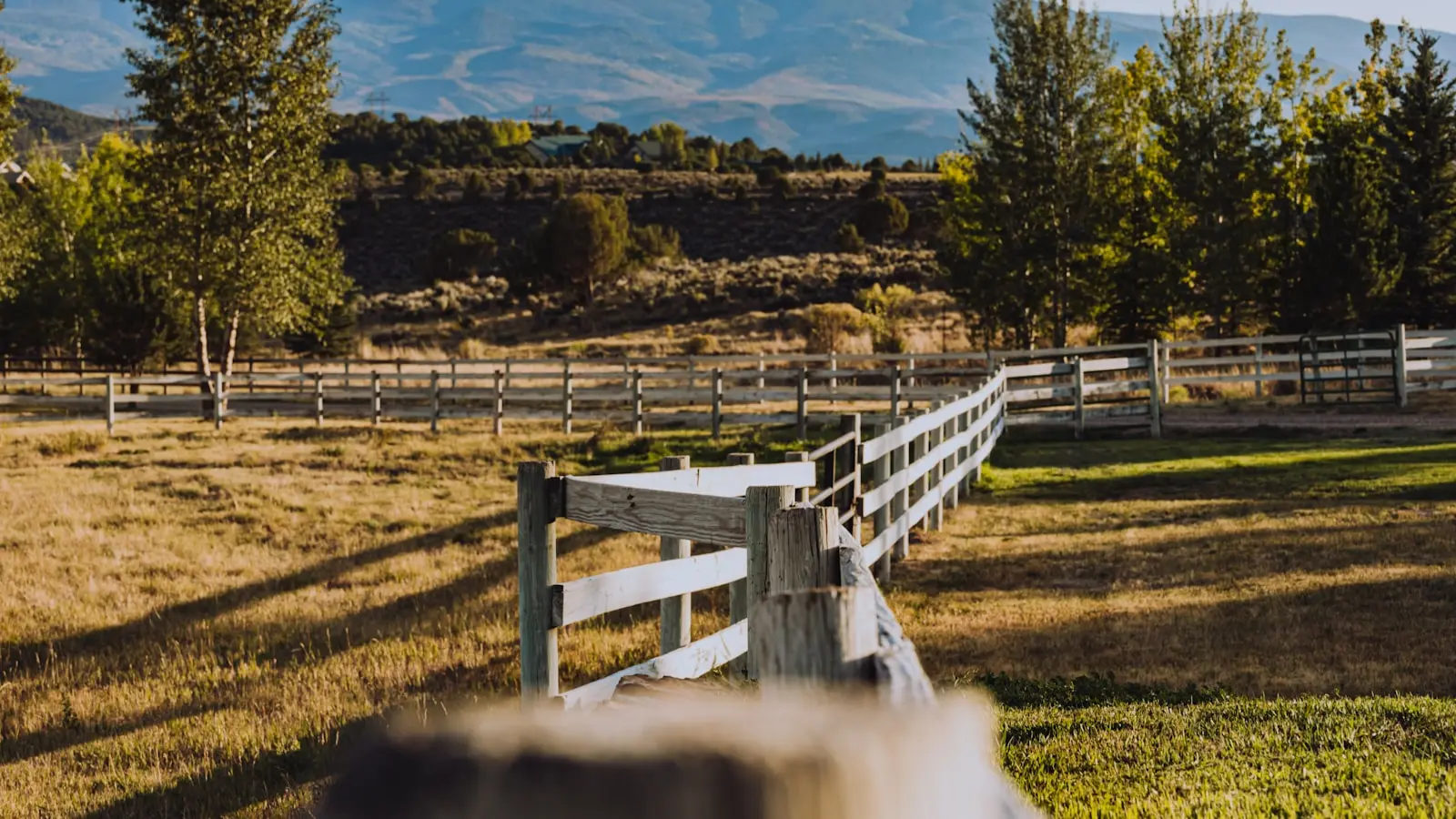 Is Yellowstone actually a bad show or is it misunderstood?