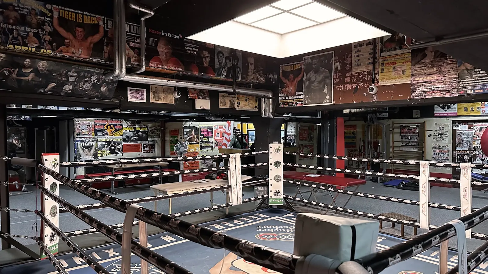 The Ledger Logic Behind Zuffa Boxing and the Fifteen Million Dollar Question
